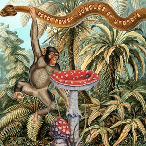 Immagine per 'Jungles Of Ufordia'