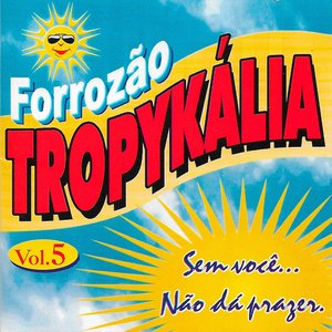 Image for 'Sem Você Não Dá Prazer, Vol. 5'