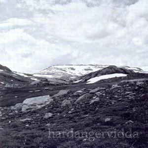 Immagine per 'Hardangervidda'