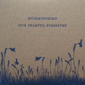 Image for 'Our Fearful Symmetry'