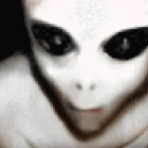 davserg