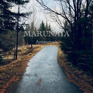 “Amaurosis”的封面