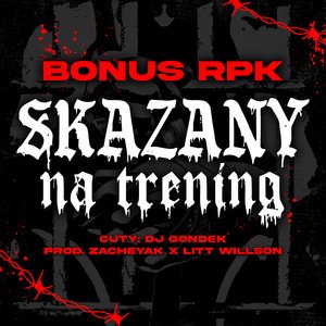 Image for 'SKAZANY NA TRENING'