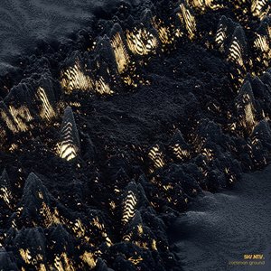 Zdjęcia dla 'Common Ground'