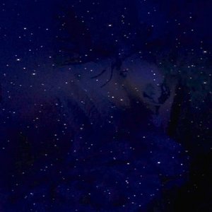 “Star​-​Kissed & Blemished”的封面