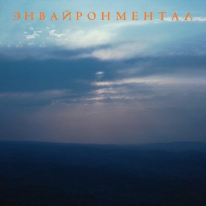 “Энвайронментал”的封面