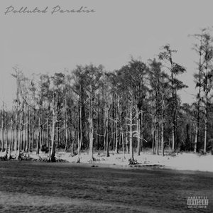 Image for 'Polluted Paradise'