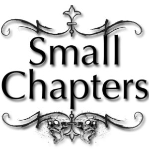 Image for 'small chapters'