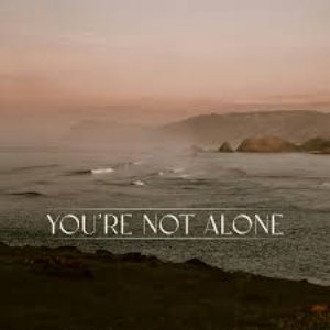 Изображение для 'You're Not Alone (James Carter Remix)'