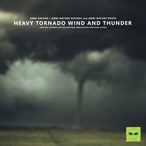 Image for 'Heavy Tornado Wind and Thunder (Nature Sounds for Relaxation, Meditation and Deep Sleep)'