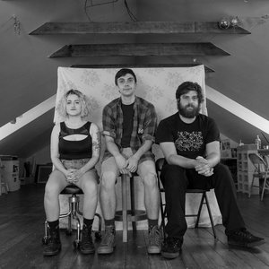 “Roz Raskin and the Rice Cakes”的封面