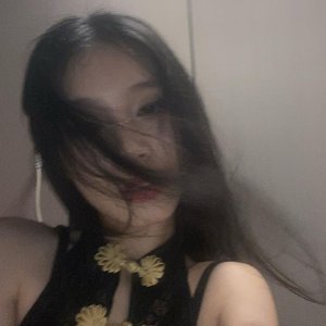 “Shushu”的封面