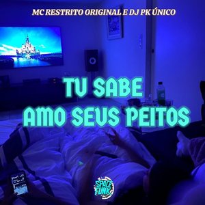 “Tu Sabe Amo Seus Peitos”的封面