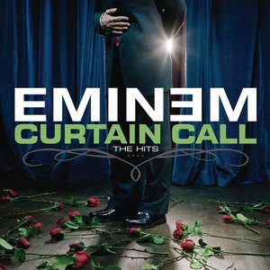 Image pour 'Curtain Call: The Hits'