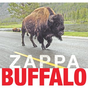 Image pour 'Buffalo'
