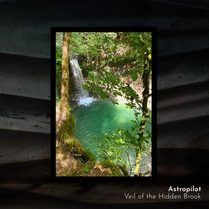 Imagen de 'Veil of the Hidden Brook'