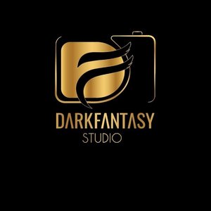 “Dark Fantasy Studio”的封面