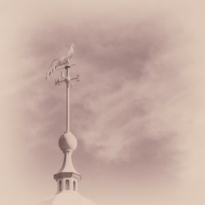 Image for 'Weathervane'