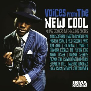 “Voices from the New Cool (Nu Jazz Crooners and Female Jazz Singers)”的封面