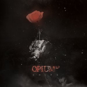 “Opium”的封面