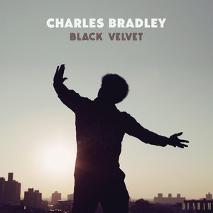 'Black Velvet'の画像