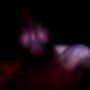 noitd
