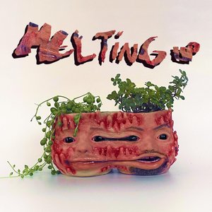 “Melting UP”的封面