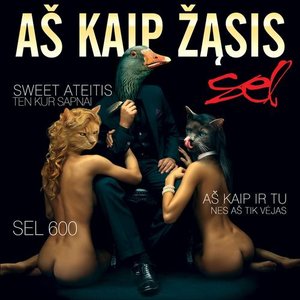“Aš Kaip Žąsis”的封面