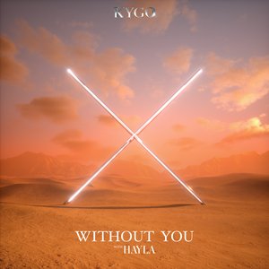 Image pour 'Without You (with HAYLA)'