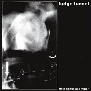 “Hate Songs in E Minor”的封面