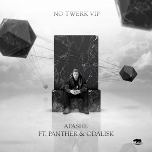 Image for 'No Twerk VIP'