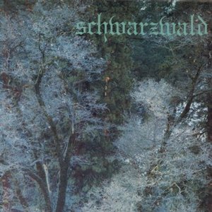 Image for 'Schwarzwald'