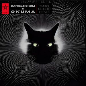 Изображение для 'Gato Negro (Daniel Hokum & Okuma Remix)'