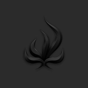 “Black Flame”的封面