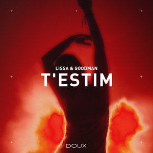 Immagine per 'T'estim'