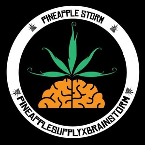 “Pineapple StormTV”的封面