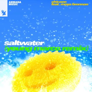 “Saltwater (Young Marco remix)”的封面