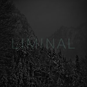 Image for 'Liminal'