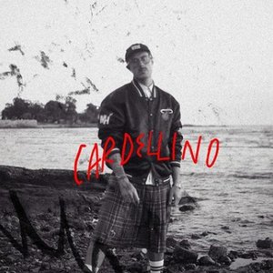 Imagem de 'cardellino'