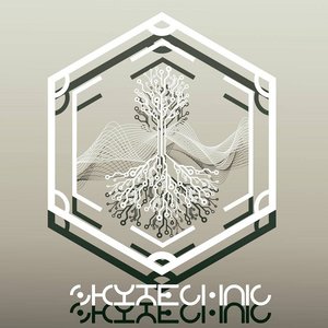 Image for 'Skytechnic'