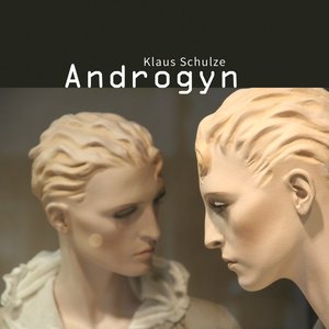 Image for 'Androgyn'