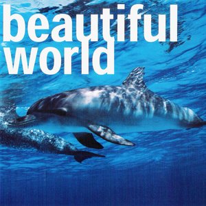 “beautiful world”的封面