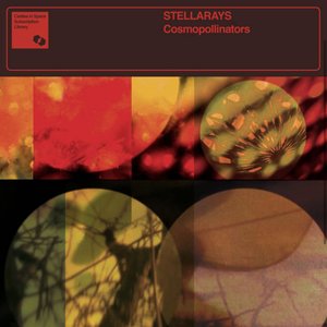 Image for 'Stellarays'