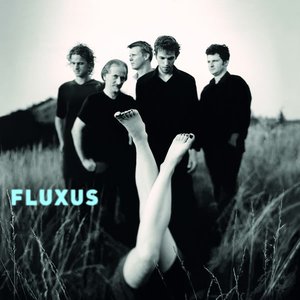 “Fluxus”的封面