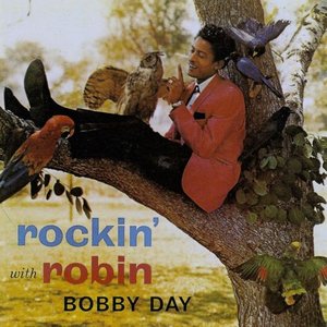 “Rockin' With Robin”的封面