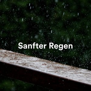 “Sanfter Regen”的封面