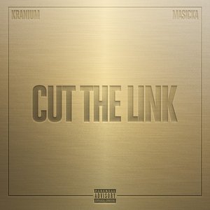 Immagine per 'Cut The Link'
