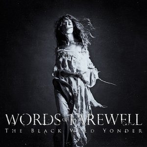 “The Black Wild Yonder”的封面