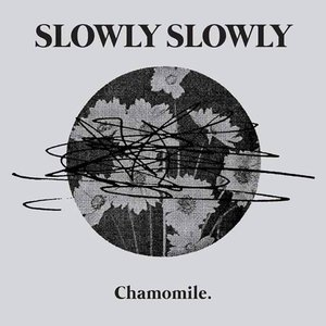 Image for 'Chamomile'