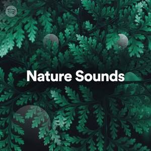 Image for 'Nature Sounds'